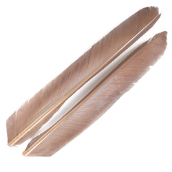 FFGene Biots de pluma de pavo
