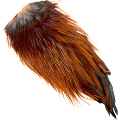 Colgadera de gallo FFGene India