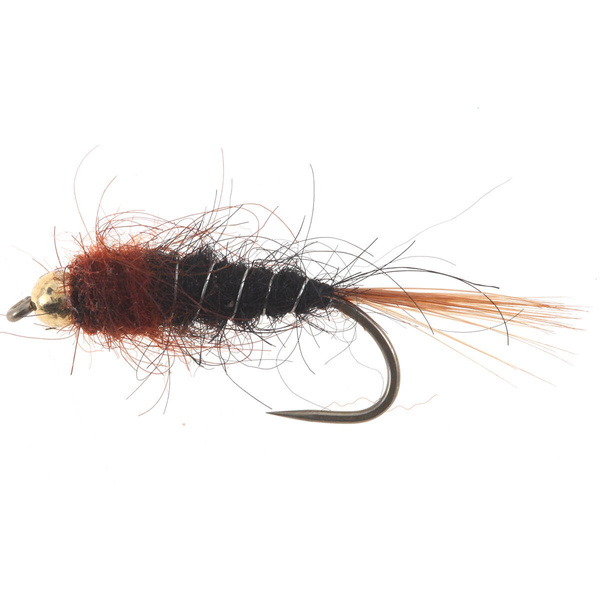 Tungsteno BH Polaco Hiszpanka Classic