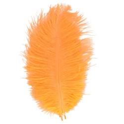 FFGene Plumas de avestruz para hackle
