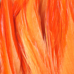 FFGene Plumas de colgadera en ristra