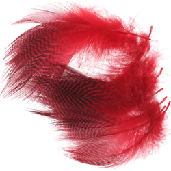 Wapsi plumas barradas del flanco de cerceta