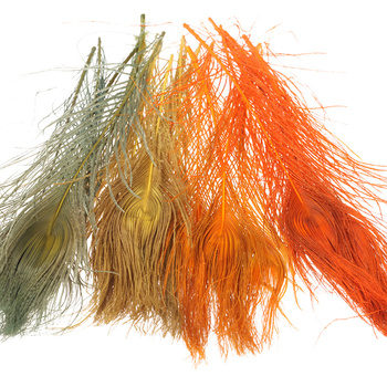 Plumas oceladas de cola de pavo real blanqueadas FFGene