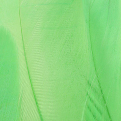 FFGene Hombros de ganso