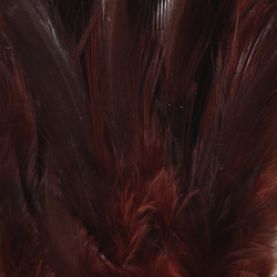 FFGene Plumas de colgadera en ristra