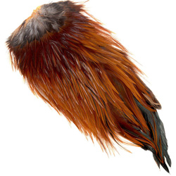 Colgadera de gallo FFGene India