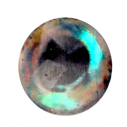 Ojos para moscas H2O Lightweight Rainbow Dumbells