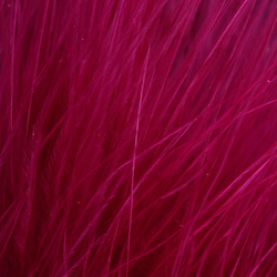 FFGene Blood Quill Marabou (10-12 cm)