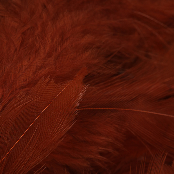 Wapsi plumas para hackle blando Matuka White