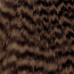 Cuello de gallina Wapsi Grizzly