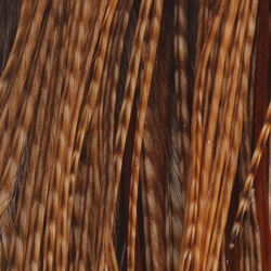 Media capa de plumas del cuello de gallo Whiting Bronze 1/2