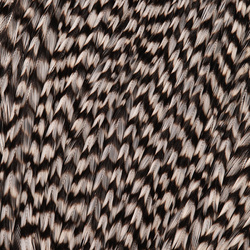 FFGene Howard Hackle cuello de plumas de gallo #3