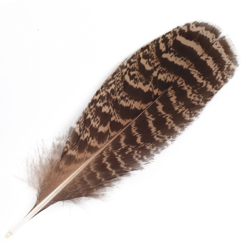 FFGene Plumas de ala de pavo real moteadas medianas