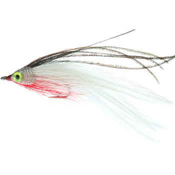 Deciever Rojo/Blanco y Pavo real