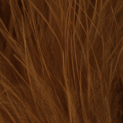 Marabú FFGene Wooly Bugger Blood Quill (7-10 cm)