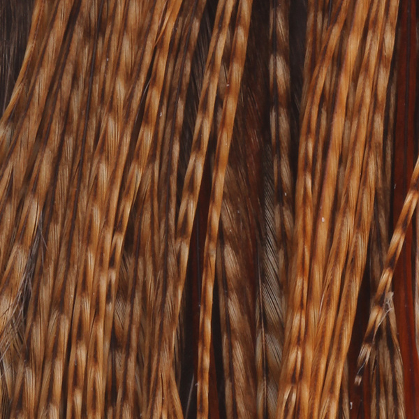 Whiting 1/2 Cape Bronce