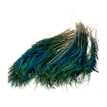 FFGene Plumas en forma de espada de la cola de pavo real