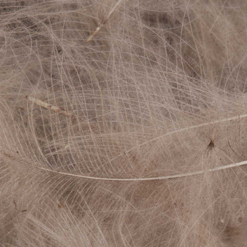 FFGene Plumas CDC Oxyd Jambo Pack - 1 gr