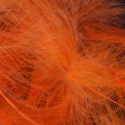 FFGene Paquete Jambo de plumas CDC teñidas - 1 gr
