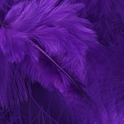 Metz plumas para hackle blando