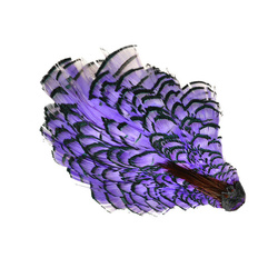 Wapsi Plumas del cuello de faisán de Lady Amherst