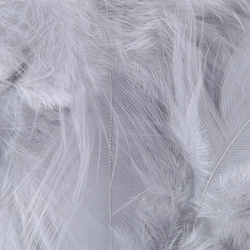 Metz plumas para hackle blando