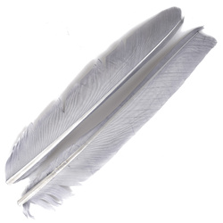 FFGene Biots de pluma de pavo