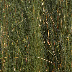 Fibras sintéticas FFGene PredaSpark Fibers