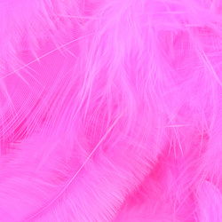 Metz plumas para hackle blando