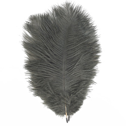 FFGene Plumas de avestruz para hackle