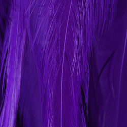 Hareline plumas de colgadera de gallo chino ensartadas 5-7