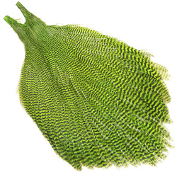 Wapsi Metz Magnum cuello de plumas