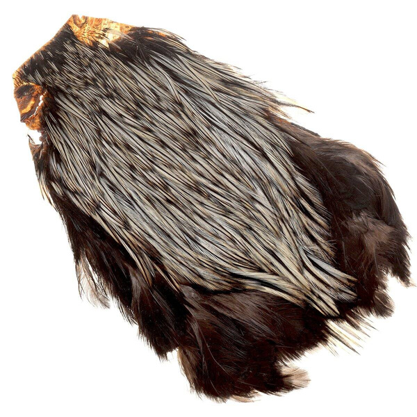 Cuello de gallo FFGene India, clase AA