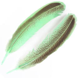FFGene Plumas de ala de pavo moteadas