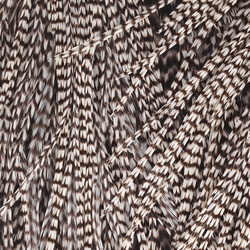 Colgadera de gallo para mosca seca Keough Hackle