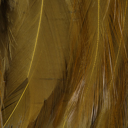 Hareline plumas de colgadera de gallo chino ensartadas 5-7