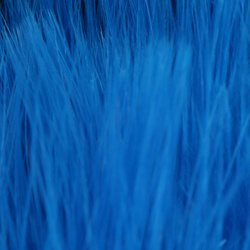 Marabú FFGene Wooly Bugger Blood Quill (7-10 cm)