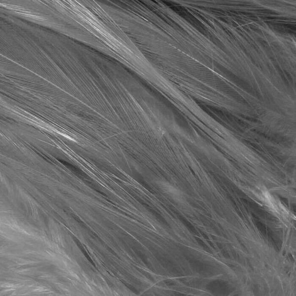 Hareline Hackle de cuello para moscas de agua salada