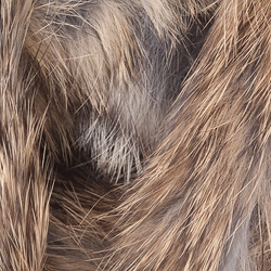 Hareline tiras zonker anchas de conejo Magnum