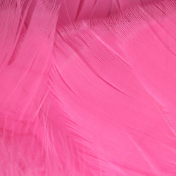 Hareline Plumas para hackle de soporte Intruder