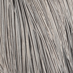 Capa de plumas del cuello de gallo Metz #1