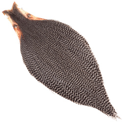 Cuello de gallo Keough Hackle Tyers