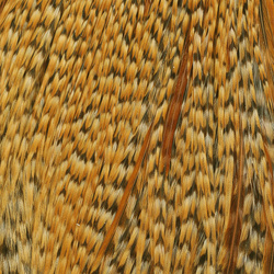 Capa de plumas del cuello de gallo Metz #2