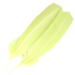 FFGene Plumas de ala de pavo