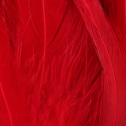 Hareline plumas de colgadera de gallo chino ensartadas 5-7