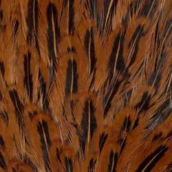 Colgadera moteada de gallina FFGene India