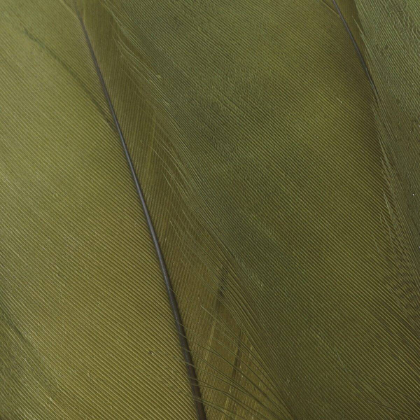FFGene Plumas escapulares de ganso