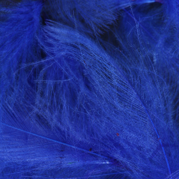 Plumas CDC de colores seleccionadas una a una FFGene