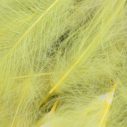 FFGene Paquete Jambo de plumas CDC teñidas - 1 gr