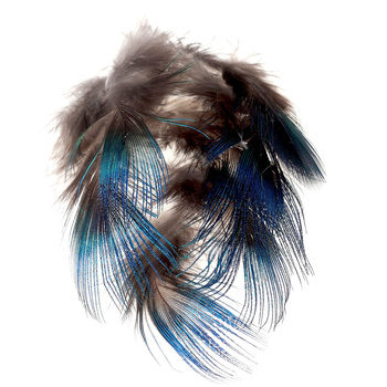 FFGene Plumas azules del cuello de pavo real